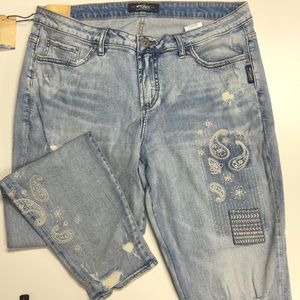 Silver Jeans Co Akio Skinny Plus